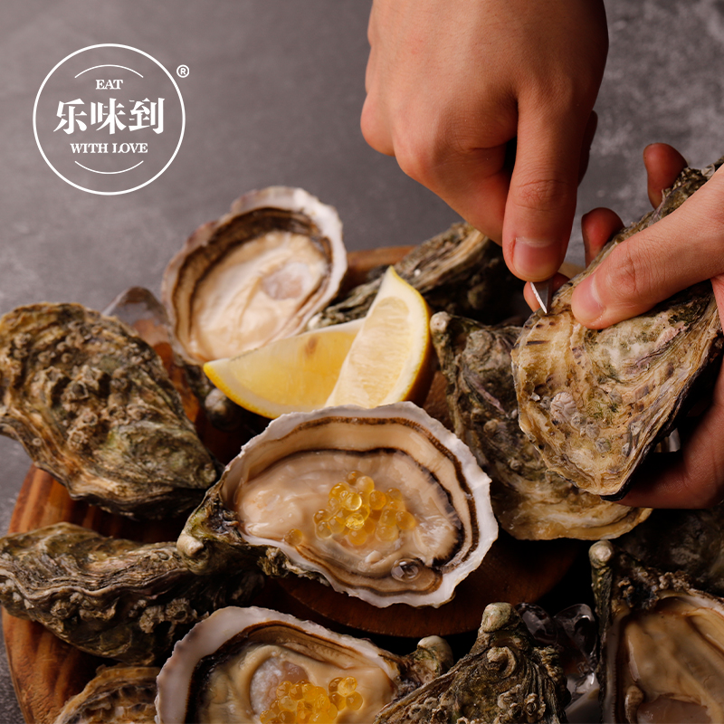 法国原装空运进口皇御生蚝