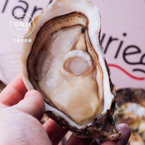 法国进口生蚝玫瑰粉钻N16只装