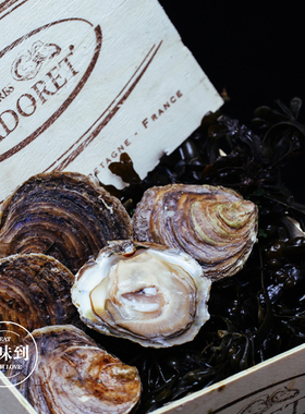 法国空运进口鲜活生蚝贝隆铜蚝TTG 12只原装木箱 即食