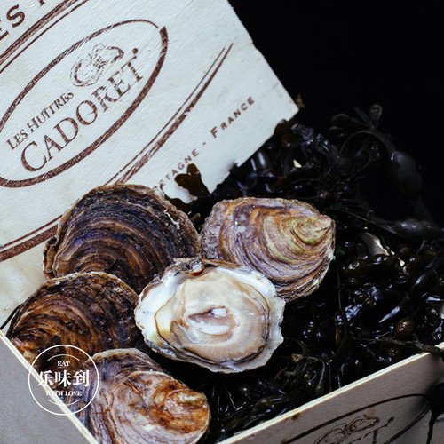 法国空运进口贝隆生蚝12只装