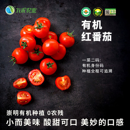 万禾农业 有机红小番茄甜沙水果番茄宝宝孕妇  250g