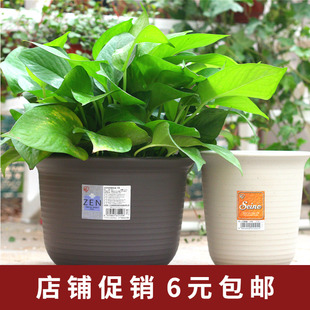 爱丽思树脂花盆塑料圆形中等绿萝多肉阳台种菜盆花卉绿植室内花盆