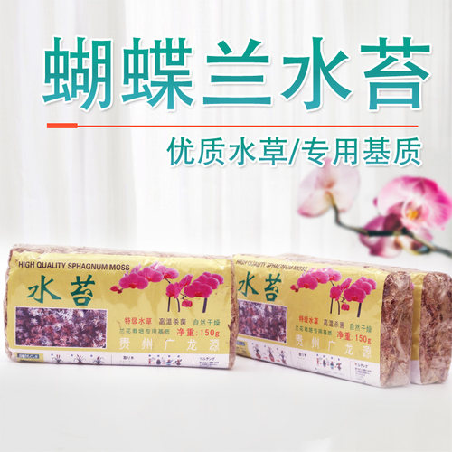 家庭园艺蝴蝶兰微观铺垫营养土