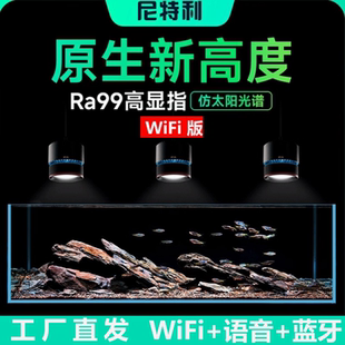 尼特利7系筒灯150w专用灯爆藻增艳照明吉罗灯wifi溪流缸灯鱼缸灯