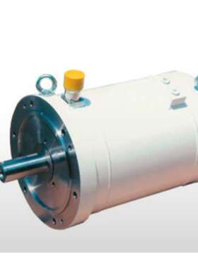 瑞士EMWB主轴驱动电机AK180L-4MW变压器 电动马达