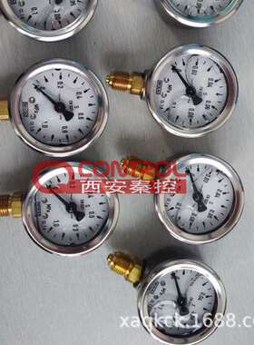 232.30.160 4000 kPa 1/2 NPT 德国WIKA压力表