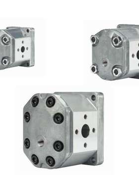 ALPI1-D-20 ALPP1-D-2 ALPP1-D-3齿轮泵 马祖奇MARZOCCHI