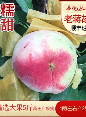 奉化水蜜桃奉化软糯多汁农场直销