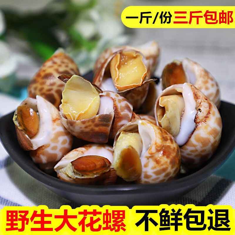 花螺鲜活冷冻大花螺东风螺新鲜海螺大香螺海鲜贝类冰冻水产猫眼螺