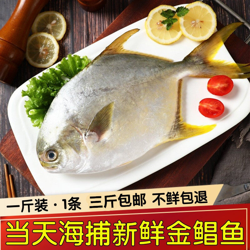 【已清理 去内脏500g/条】鲳鱼金鲳鱼新鲜冷冻海鱼大平鱼鲳鳊鱼