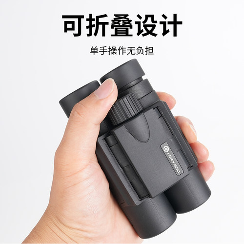 雷龙迷你便携高清高倍双筒望远镜