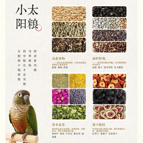 嘎嘎大王的鹦鹉花草种子粮