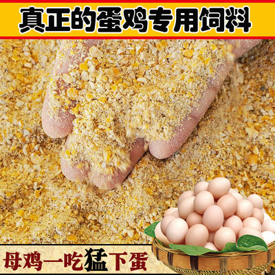 产蛋鸡饲料全价料增蛋散装饲料