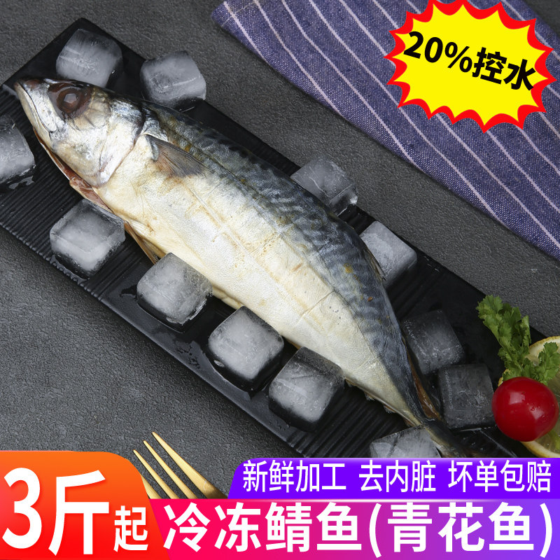 鲭鱼青花鱼新鲜冷冻整条淡干日式盐渍鲭鱼青花鱼鲐鲅青占鱼鲭鱼