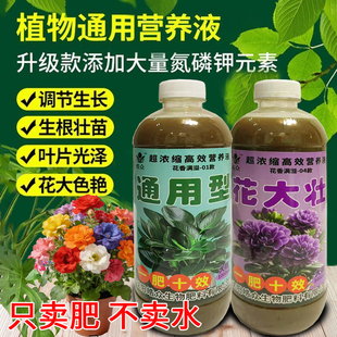 营养液植物通用型室内养花肥料多肉绿萝富贵竹兰花君子兰水培植物