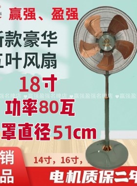 赢强/盈强新款五叶豪华落地扇电扇家用风扇纯铜线电机铁叶
