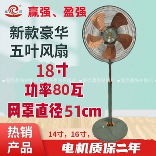 赢强/盈强新款五叶豪华落地扇电扇家用风扇纯铜线电机铁叶