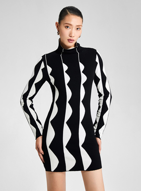 LEDIM WANG 中长款高领毛衣2023秋冬季新款设计感波浪针织连衣裙