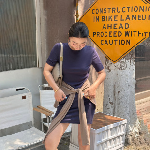 新款 LEDIM 淡人撞色搭片针织连衣裙夏季 白标系列 女长裙 WANG