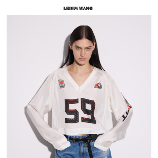 上衣2026春夏新款 T恤女直筒白色真丝薄款 WANG桑蚕丝V领长袖 LEDIM