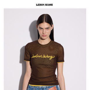 上衣26春夏新款 短袖 WANG假两件撞色印花叠穿T恤女咖色薄款 LEDIM