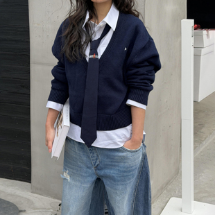 新款 LEDIM WANG趣味烫画印花领带百搭搭配2026春季