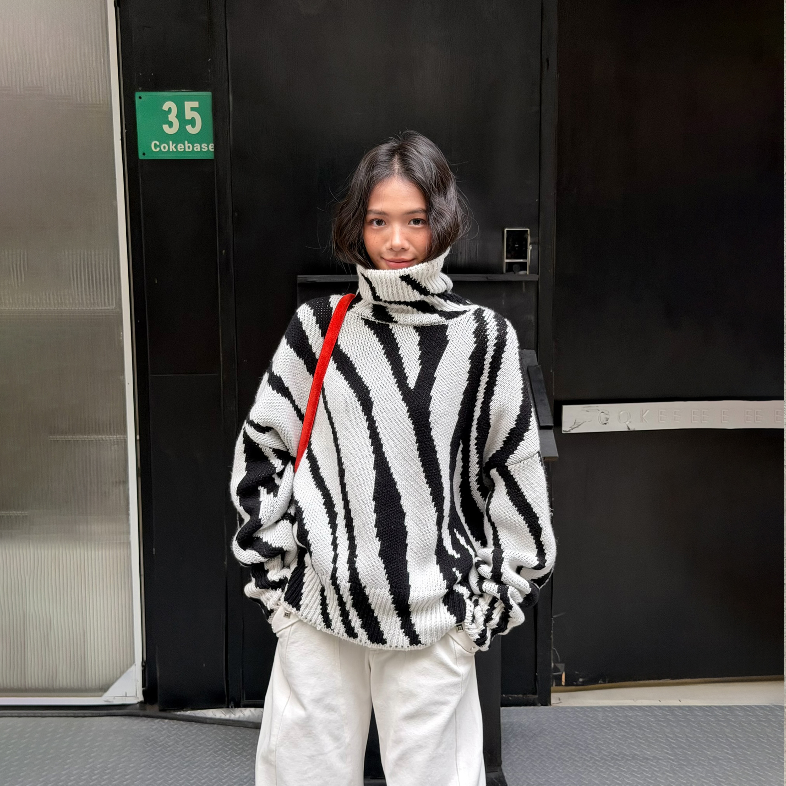 LEDIM WANG白标/斑马纹提花针织套头毛衣女设计感上衣25秋冬新款