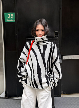 LEDIM WANG白标/斑马纹提花针织套头毛衣女设计感上衣25秋冬新款