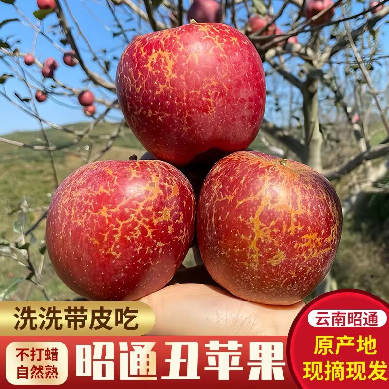 昭通冰糖心野生苹果同城包送图片