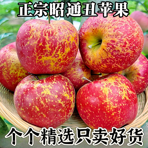 云南昭通冰糖心苹果甜脆多汁现摘现发新鲜水果农产品包邮5/10斤装