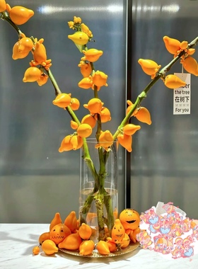 五代果鲜切枝黄金果小猪佩奇五福同堂果家庭瓶插乳茄年宵花乔迁新