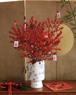 北美冬青鲜切花年宵花红色系果子花期长喜庆氛围感鲜花昆明直发