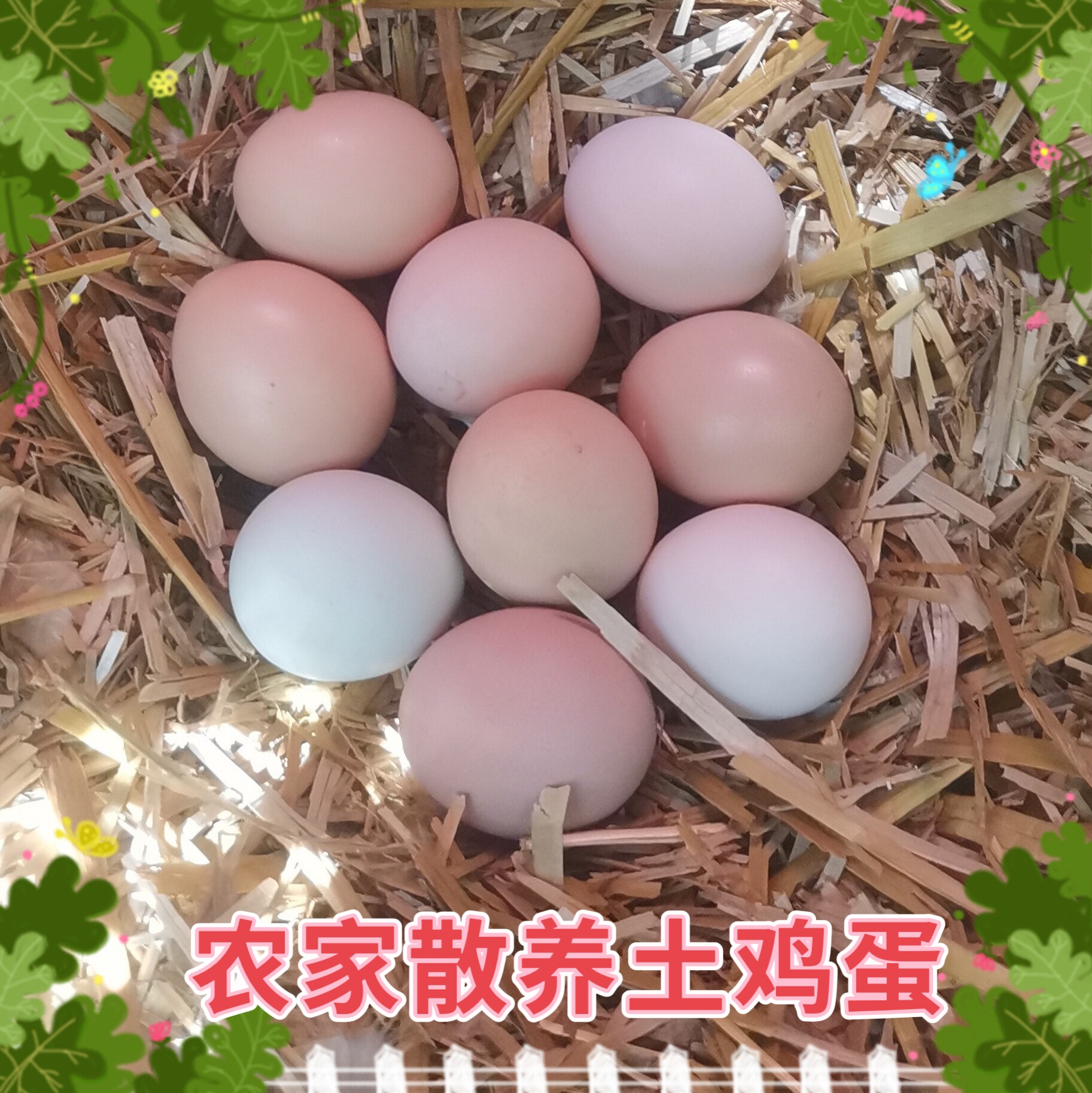土鸡蛋散养新鲜孕妇宝宝