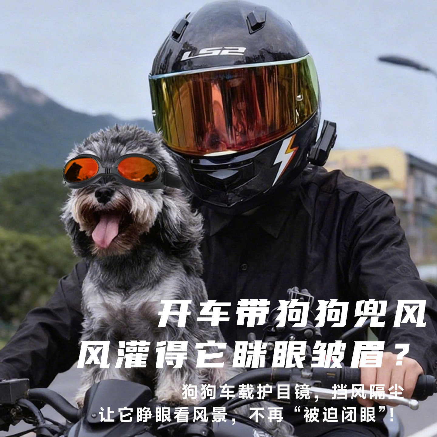 小型犬墨镜防风沙紫外线宠物眼镜图片