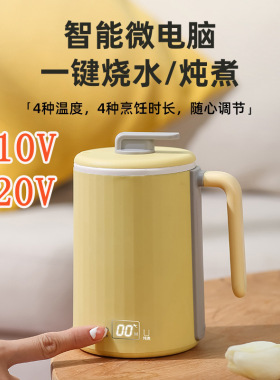 跨境烧水养生杯电热水杯炖盅110V