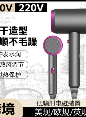 跨境110V220V家用差旅便携吹风筒
