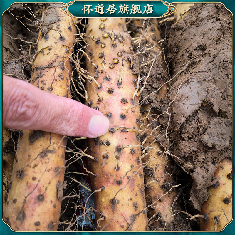 怀道居垆土铁棍山药河南焦作温县山药粉怀山药淮山药正宗新鲜5斤