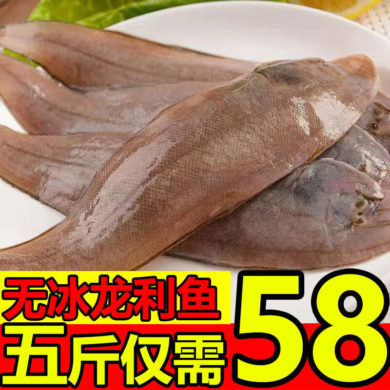 龙利鱼海捕野生舌头鱼踏板鱼龙舌鱼鳎目鱼鱼柳子板鱼批发舌鳎鱼