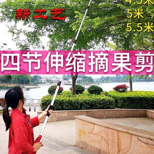 摘果剪高枝剪摘枇杷香椿荔枝伸缩加长杆修果树枝高空采摘水果神