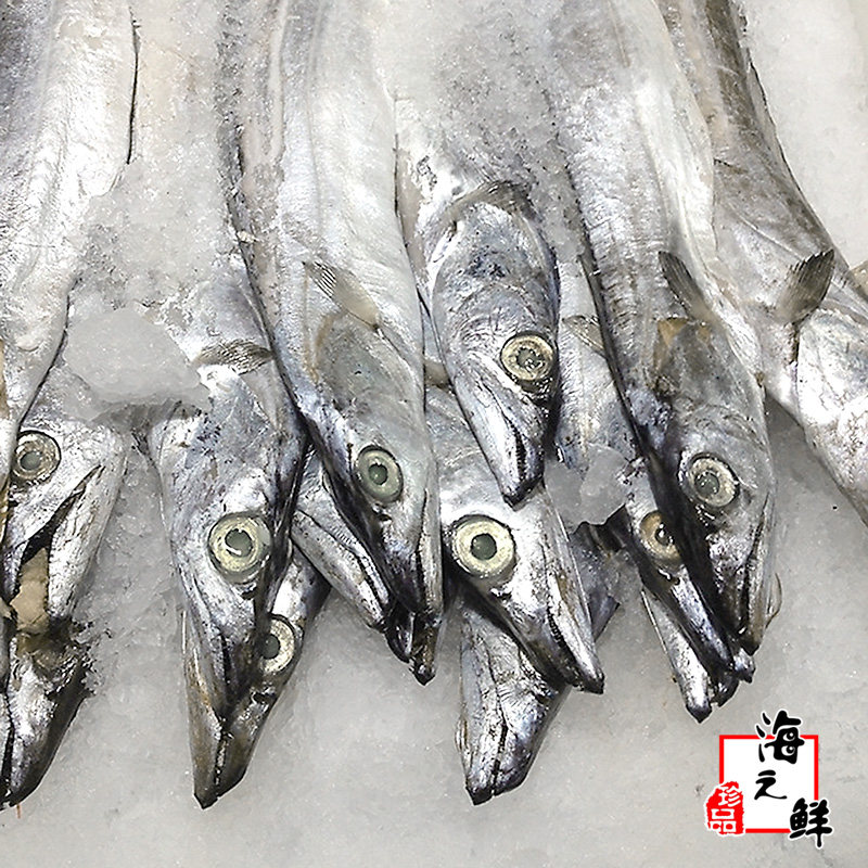 2斤1条黄海特大号新鲜带鱼丹东大刀鱼深海捕捞无添加冷冻水产顺丰