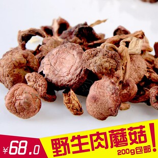 赤峰市克旗特产克什克腾野生红蘑菇肉蘑干货干蘑菇200克一袋包邮
