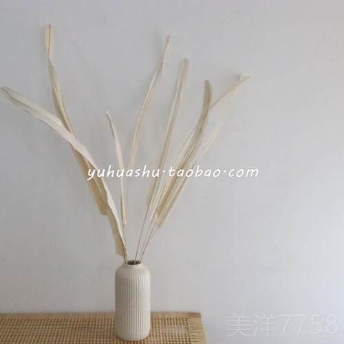 高档韩式风干花苇花束白色厅陶花瓶装饰瓷饰品民宿店芦客陈设