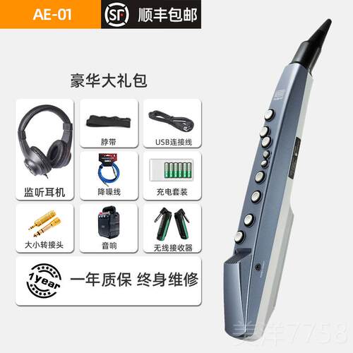 高档罗兰oland电吹管乐器AE-10电萨斯风初学者Ar克E05电管乐器A子
