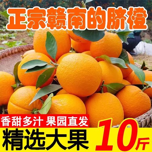 江西赣南脐橙特级新鲜现摘