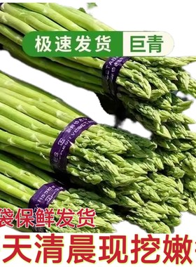 当季头茬现摘绿芦笋5斤整箱