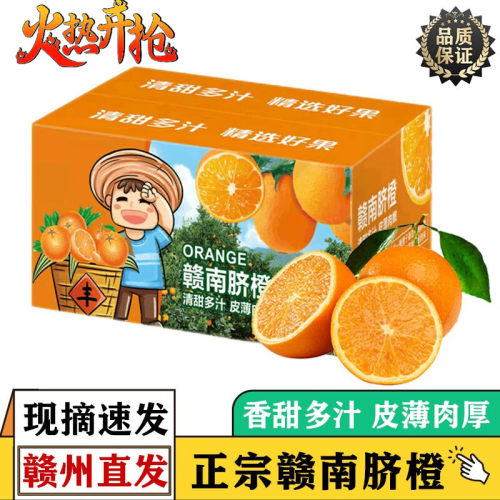 江西赣南脐橙时令水果10斤装