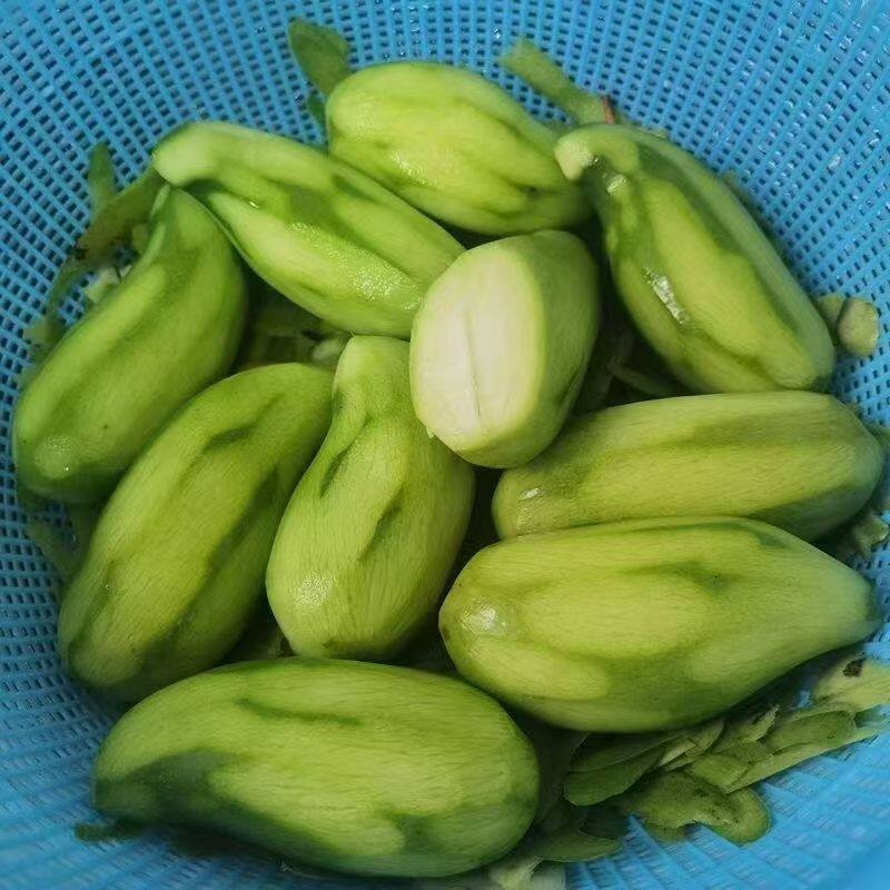 酸芒果生吃酸脆云南临沧小青芒果 芒果芽青芒果生吃新鲜孕妇酸脆