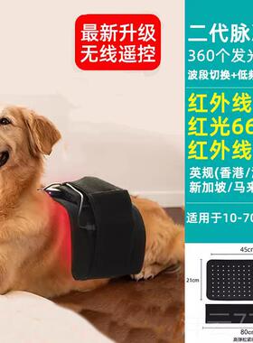 高档LED红宠物理光疗骨腰带犬猫髌关节腰椎热仪器光疗骨折加术后