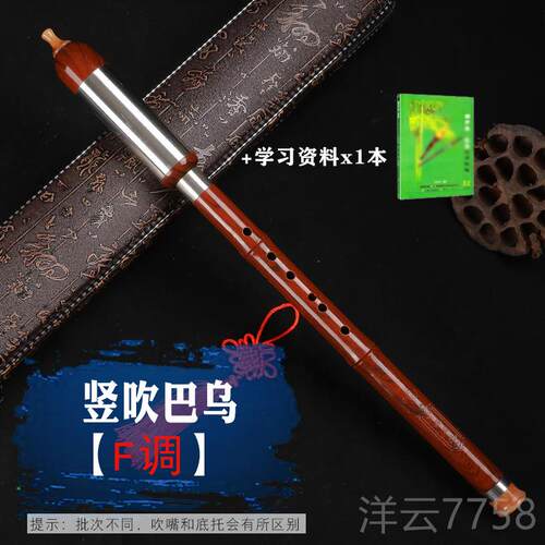 高档巴乌乐器竖gf调d吹调c降ba调儿调童小学巴生成人乌乐器初学者