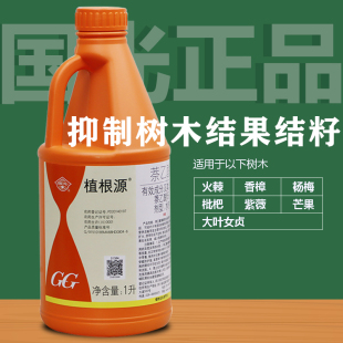 国光植根源萘乙酸女贞香樟打胎药防杨梅芒果结果抑制火棘紫薇结籽